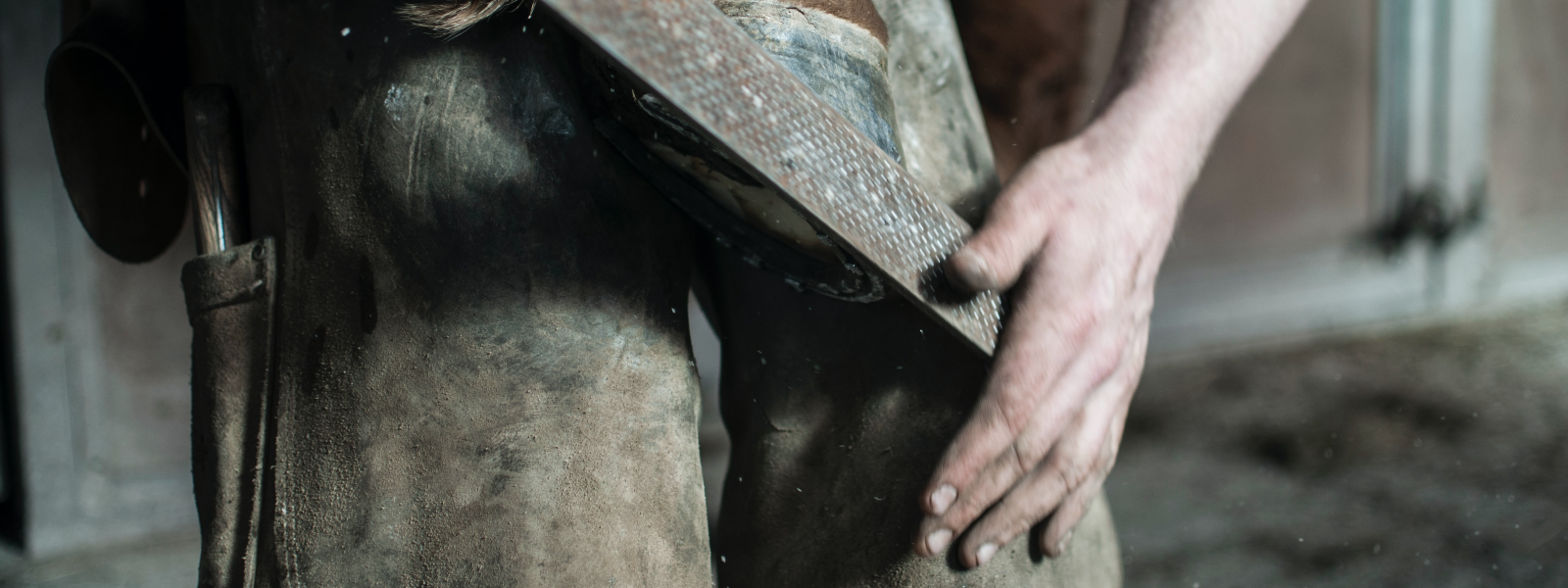 Hoof Trimming Tools