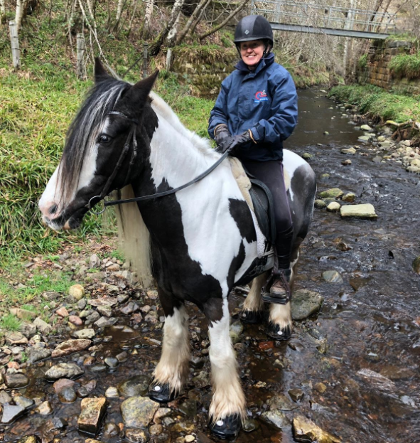 Common Questions About Hoof Boots For Draft Horses