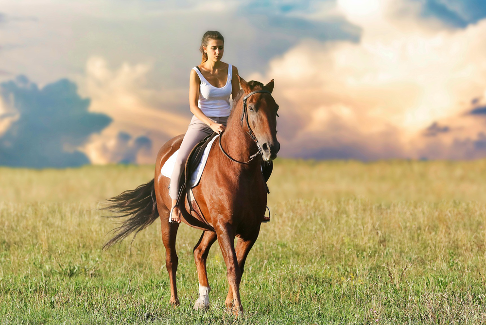 Some of the biggest health concerns facing our horses today and what can we, as owners, do to protect our horses?